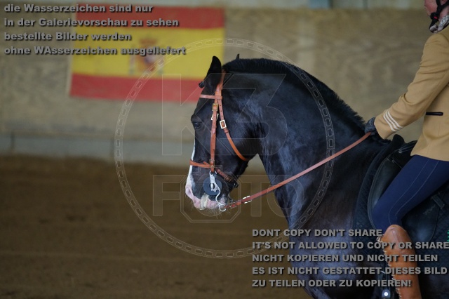 s_K3F03816.JPG